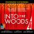 Stephen Sondheim/Sara Bareilles/2022 Broadway Cast – Into The Woods (2022 Broadway Cast Recording) [Apple Red 2 LP]