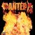 PANTERA – Reinventing The Steel