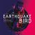 Atticus Ross, Leopold Ross, Claudia Sarne – Earthquake Bird (Original Music From The Netflix Film)