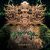 Shpongle – Codex VI[3 LP]